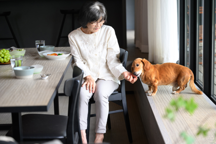 Woman feeding small dog in window.